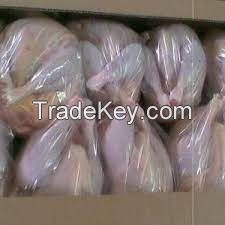 Best selling whole chicken frozen/paws halal High Quality Frozen Chicken Wholesale Prices Chicken