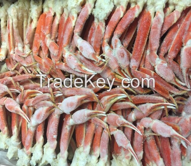 Red Snow Crab Cluster Meat/Quality Snow Crab Cluster legs/Frozen Snow Crab Cluster