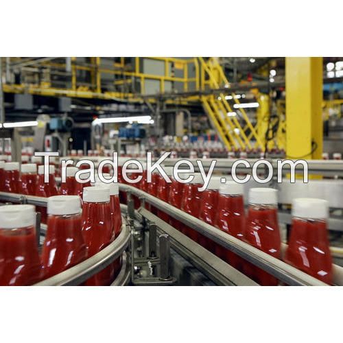 Canned Tomato Paste, Tomato Sauce, Tomato Ketchup available at great rates