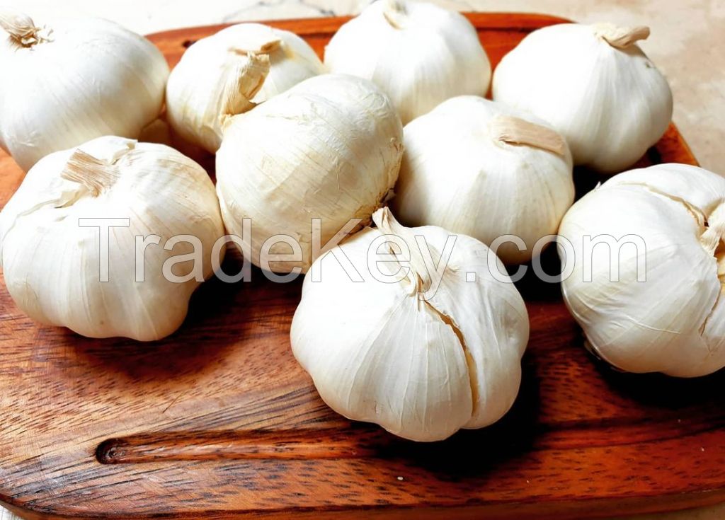Fresh Garlic/Dehydrated Garlic/Black Garlic,Fried Garlic,