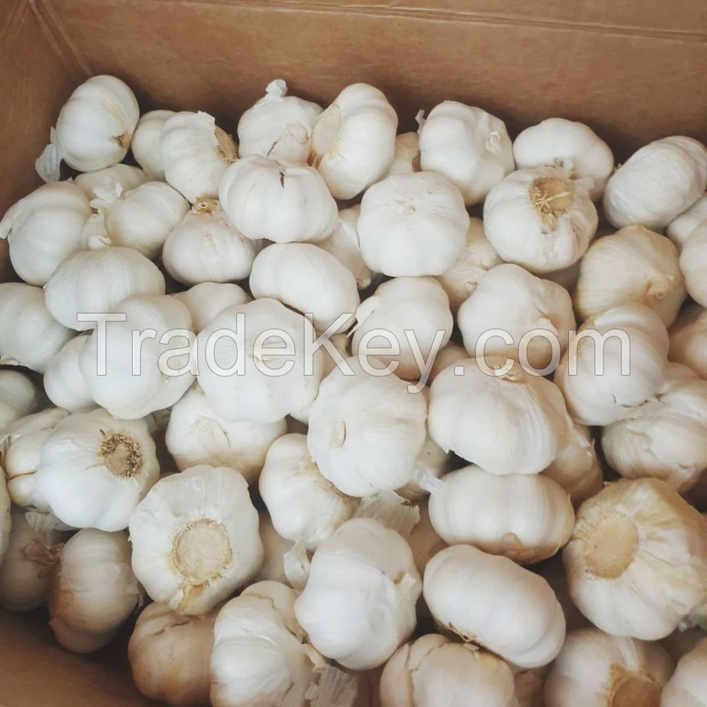 Fresh Garlic/Dehydrated Garlic/Black Garlic,Fried Garlic,