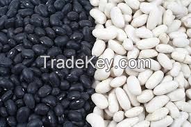 WHITE kidney beans/ BLACK Kidney Beans
