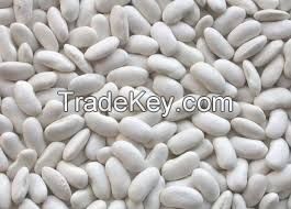 WHITE kidney beans/ BLACK Kidney Beans