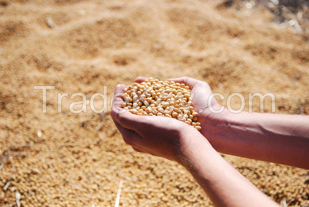 PURE QUALITY HIGH PROTEIN SOYBEAN MEAL FOR ANIMAL FEEDING