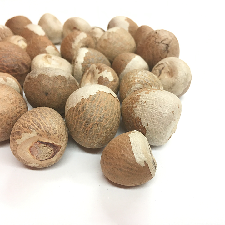 Betel Nut Split Dried (80-85%)