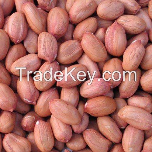 New Crop Peanuts Kernel, Raw Peanuts, Groundnuts Without Shell