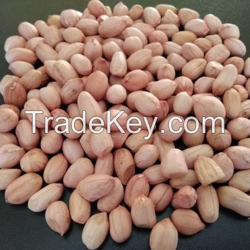 New Crop Peanuts Kernel, Raw Peanuts, Groundnuts Without Shell