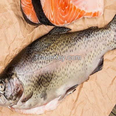 Frozen Tilapia Fillet , Salmon Fish , Mackerel 