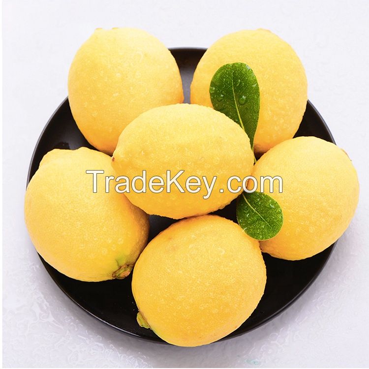 100% Organic and Healthy Szechuan Lemon with the Most Competitive Price fresh lemon fruit