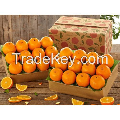 fresh oranges navel oranges Newhall oranges 