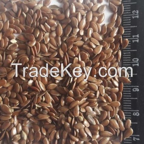 Flax Seeds Low Prices 