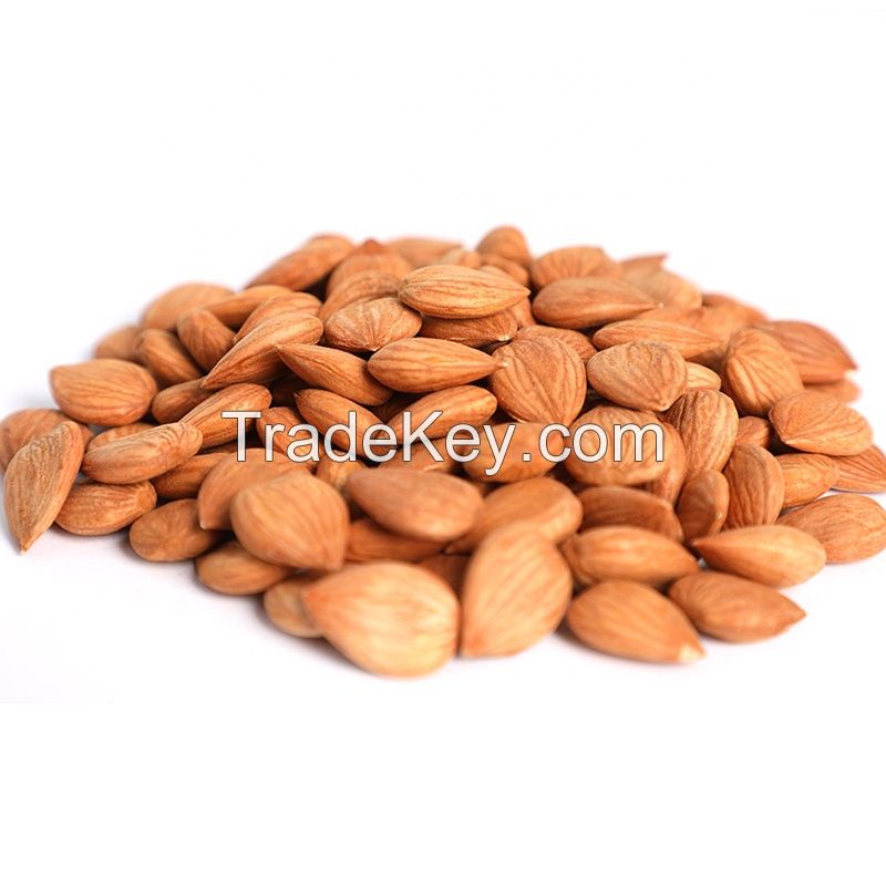 Halal Certificate China New Crop Sweet Apricot Kernels In Wholesale