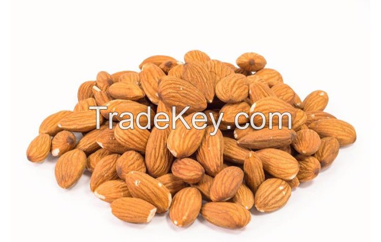 High quality raw almonds low almonds price top grade almond nuts