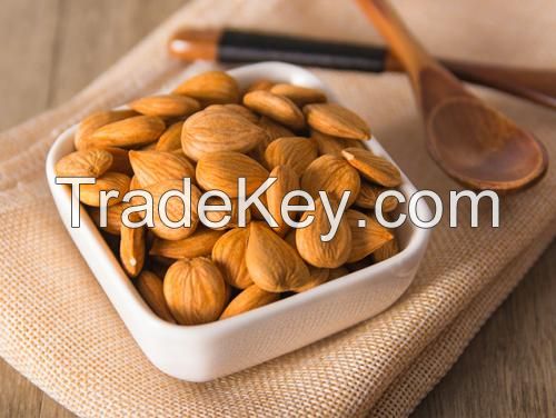 High Quality California Almond Nuts