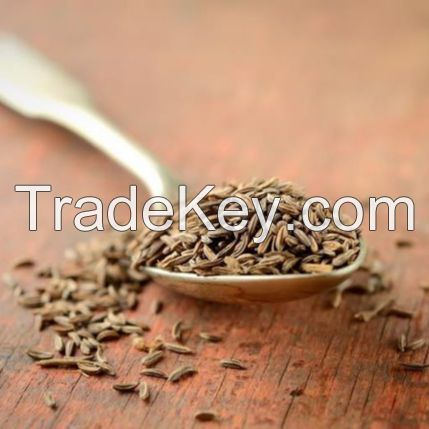 Cumin Seeds 