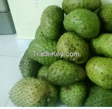 South Africa  Soursop