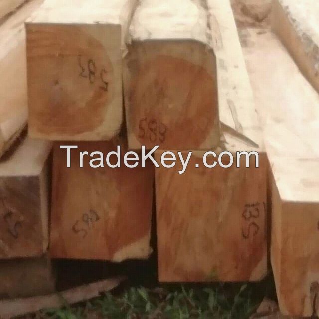 Africa tropical Hard Wood Timber  