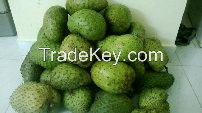 South Africa  Soursop