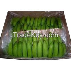 Green Cavendish Bananas