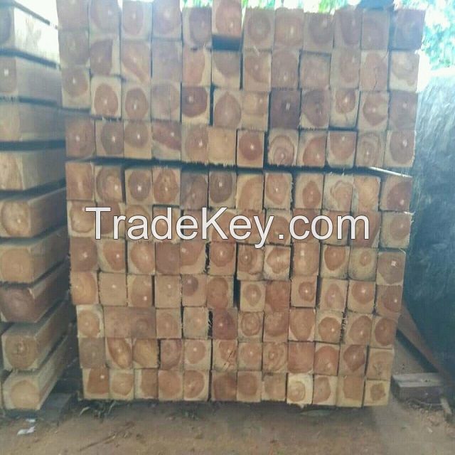 Africa tropical Hard Wood Timber  
