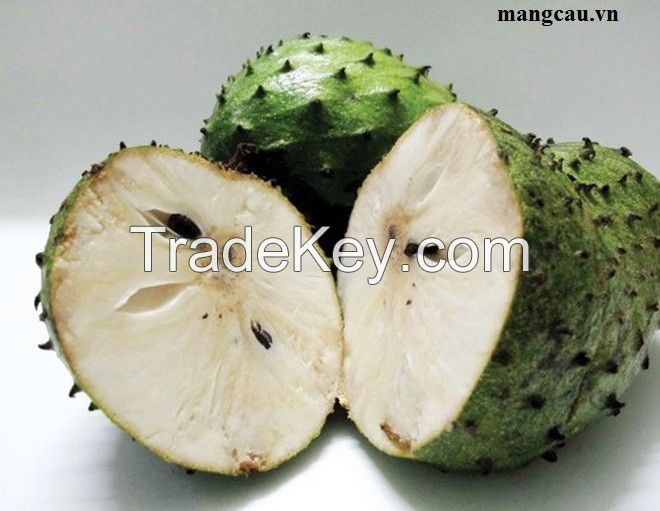 South Africa  Soursop