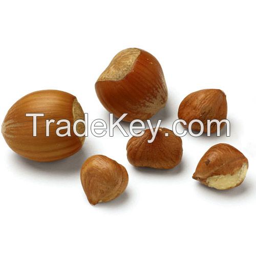  Organic Hazel Nuts 