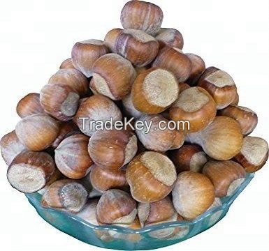  Organic Hazel Nuts 