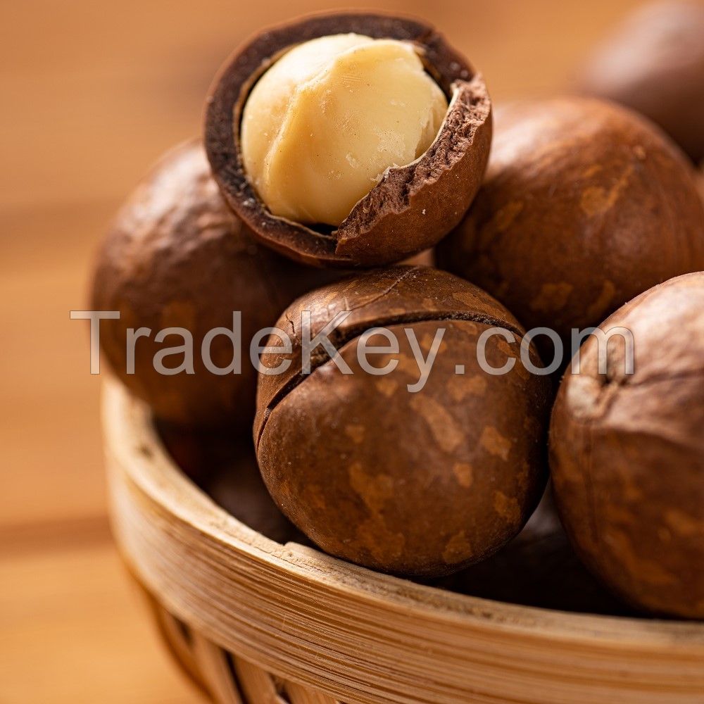 macadamia nuts