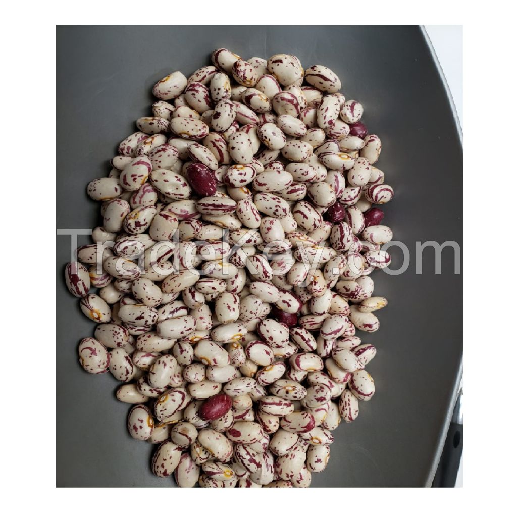 Pinto Beans