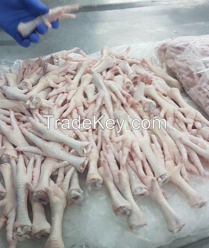 Brazilian chicken feet & Paws Suppliers.