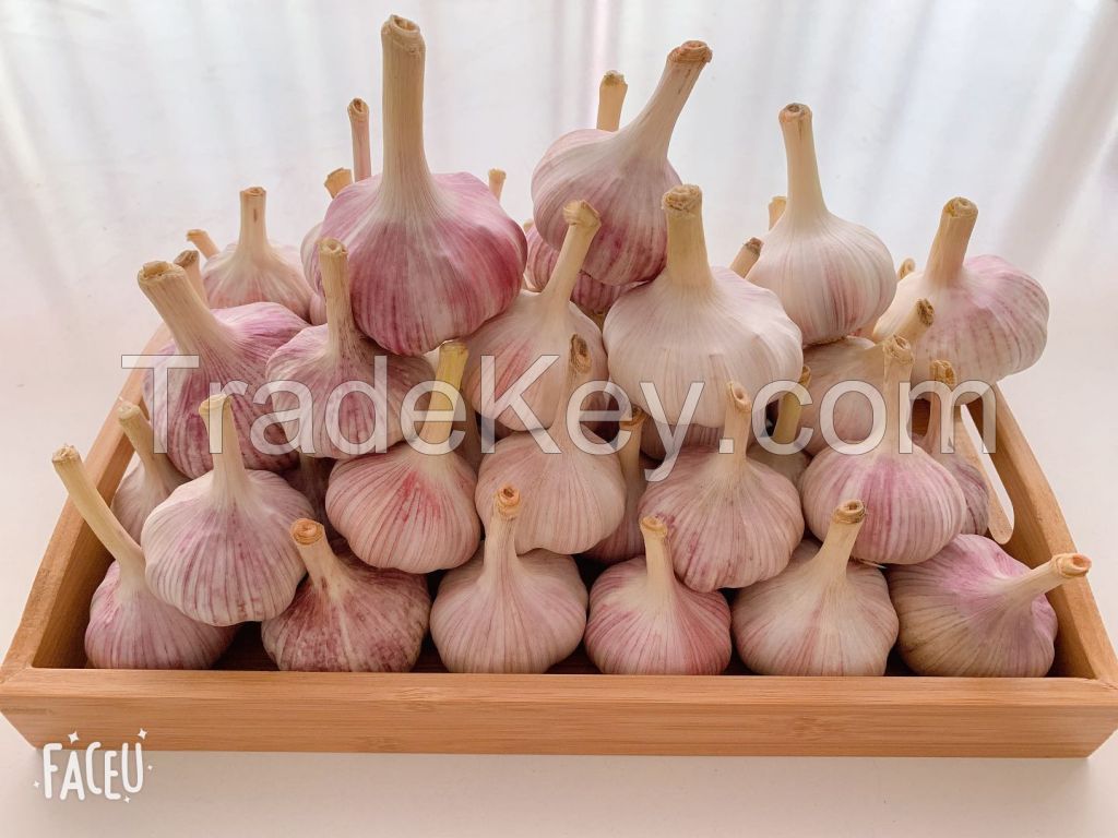 de hyderated garlic/garlic frozen