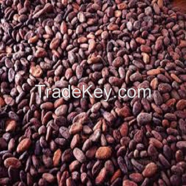 Raw Cocoa Bean