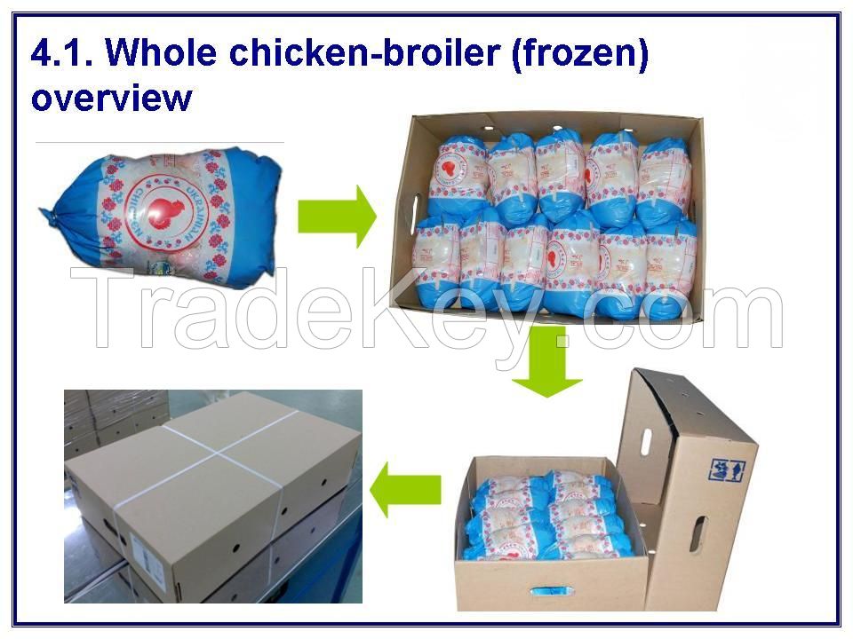 Chickens Frozen HACCP HALAL Frozen Whole Chicken and parts