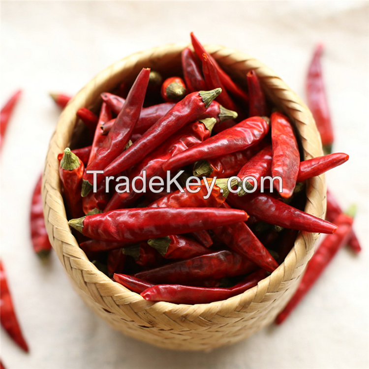 dried red chili pepper