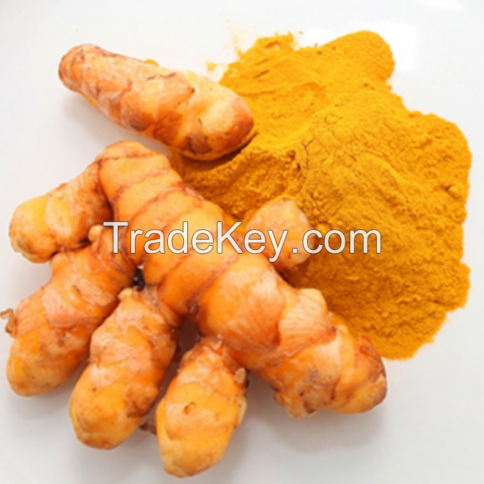 Plant extract best price turmeric powder curcumin 95%