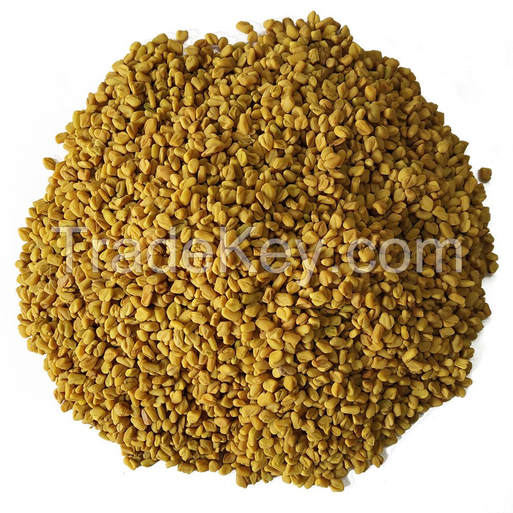 Good quality clean Fenugreek seed whole or powder