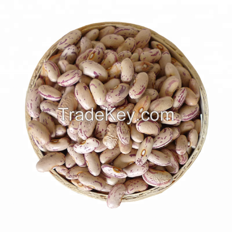 Wholesale Pinto Beans Light Speckled Dried Kidney Bean Recipes