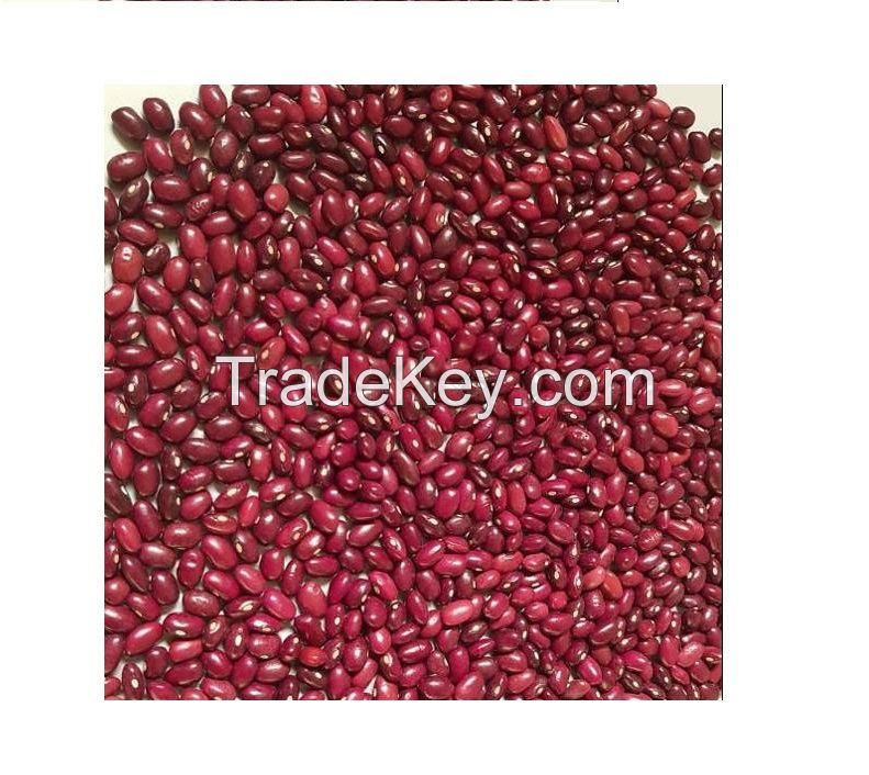 high quality small ethiopian red kidney beans dark for wholesale
