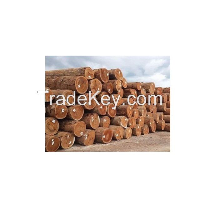 High Quality Round Teak Wood, Tali Wood, Padouk, Pine, Boxwood, Azobe Wood and Timber Logs
