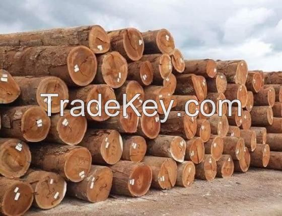 Teak Wood - Round Logs, Swan Timber Logs