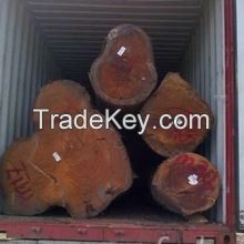 Red Oak Logs for Sale