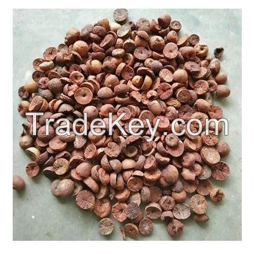 Farm Fresh Pecan Nuts for Sell