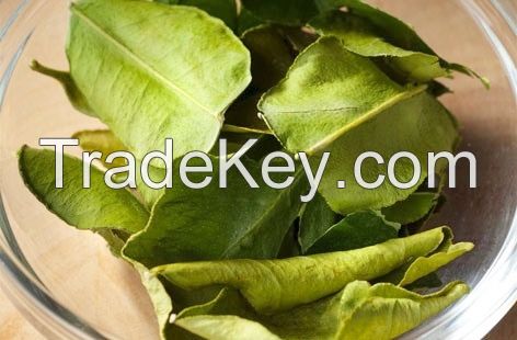 Dried Lemon Leaf/Slice Dried Lemon Leaves