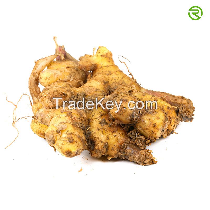 Air Dried Fresh Ginger