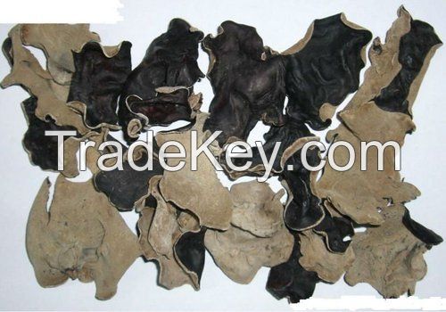 Organic Dried Black Fungus Mushroom