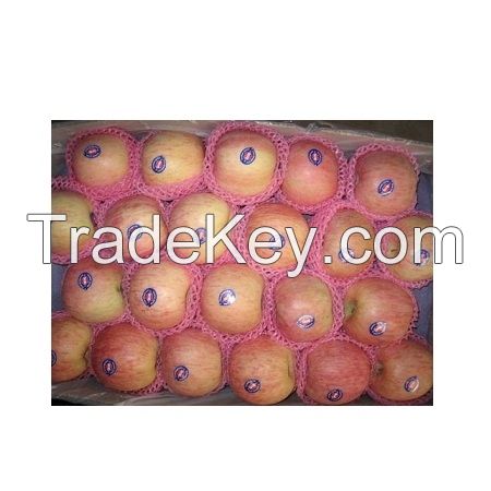 First Class Quality Fresh Gala Apples Available for Sale