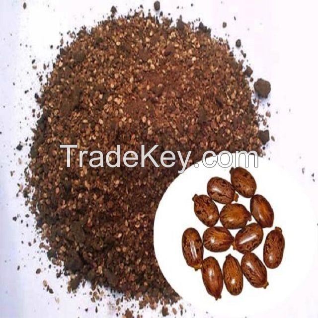 Castor Seeds, Oil Seed,Castor Meal