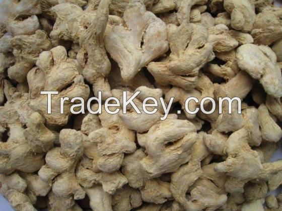 Fresh Ginger for Sale