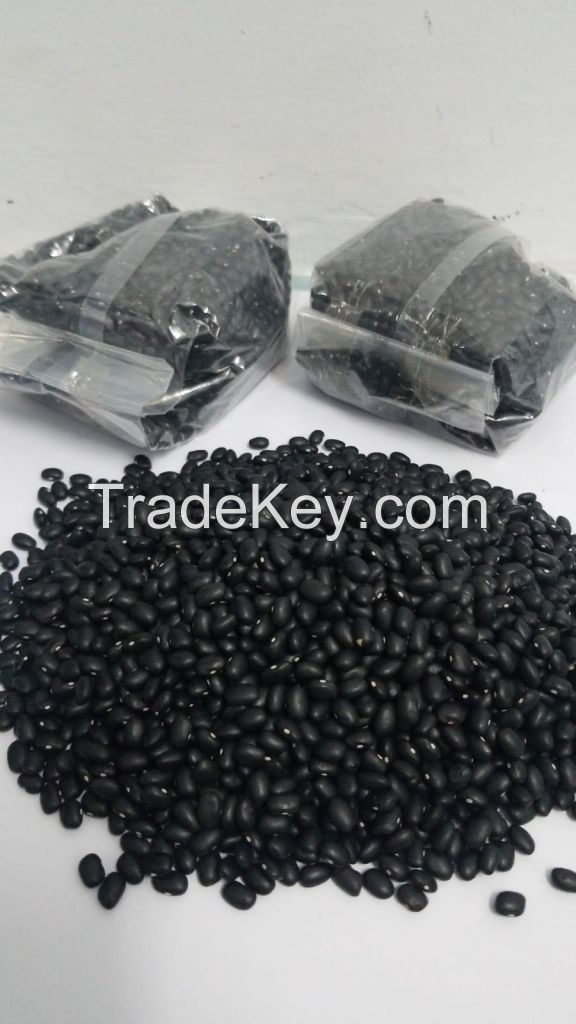 Black Kidney Beans