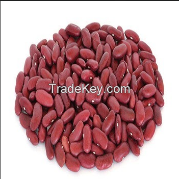 Red Kidney Beans